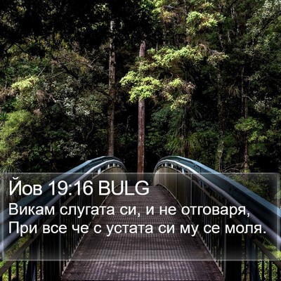 Йов 19:16 BULG Bible Verse Image