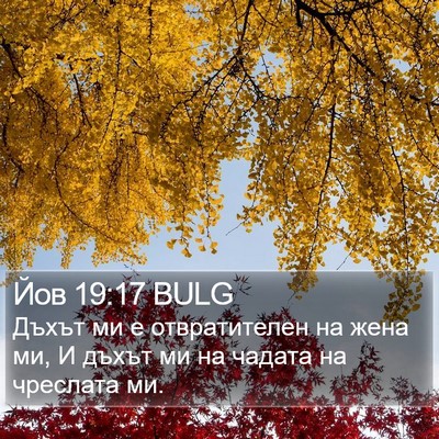 Йов 19:17 BULG Bible Verse Image