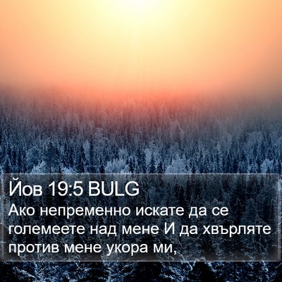 Йов 19:5 BULG Bible Verse Image