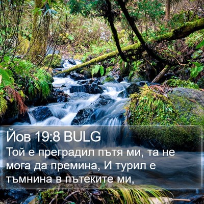 Йов 19:8 BULG Bible Verse Image