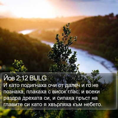 Йов 2:12 BULG Bible Verse Image