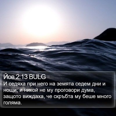 Йов 2:13 BULG Bible Verse Image