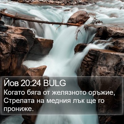 Йов 20:24 BULG Bible Verse Image