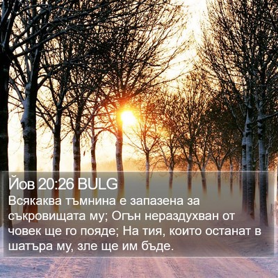Йов 20:26 BULG Bible Verse Image