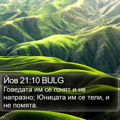 Йов 21:10 BULG Bible Verse Image