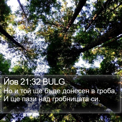 Йов 21:32 BULG Bible Verse Image