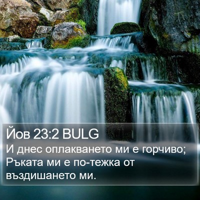 Йов 23:2 BULG Bible Verse Image