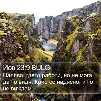 Йов 23:9 BULG Bible Verse Image
