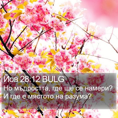 Йов 28:12 BULG Bible Verse Image