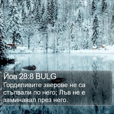Йов 28:8 BULG Bible Verse Image