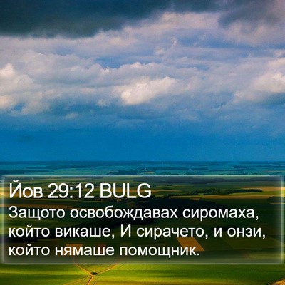 Йов 29:12 BULG Bible Verse Image