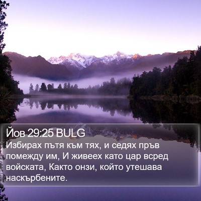 Йов 29:25 BULG Bible Verse Image