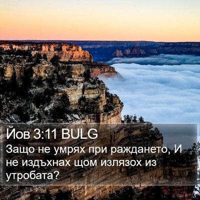 Йов 3:11 BULG Bible Verse Image