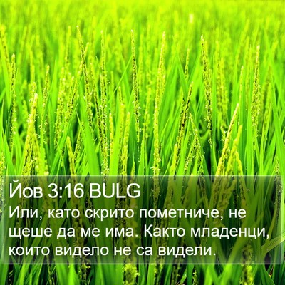 Йов 3:16 BULG Bible Verse Image