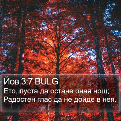 Йов 3:7 BULG Bible Verse Image