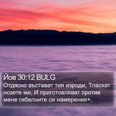 Йов 30:12 BULG Bible Verse Image