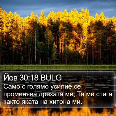 Йов 30:18 BULG Bible Verse Image