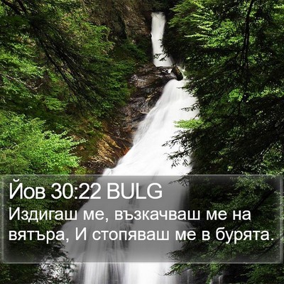 Йов 30:22 BULG Bible Verse Image