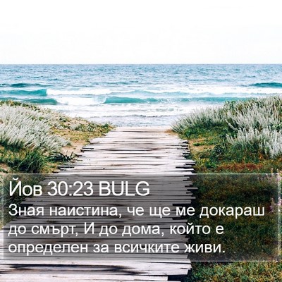 Йов 30:23 BULG Bible Verse Image