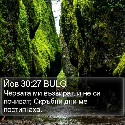 Йов 30:27 BULG Bible Verse Image