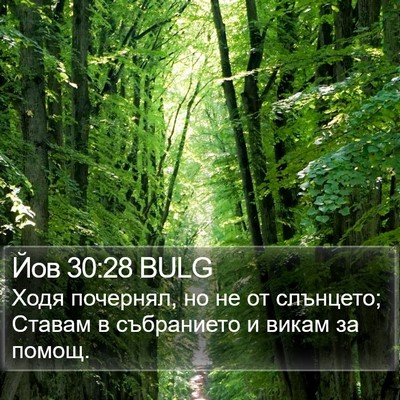 Йов 30:28 BULG Bible Verse Image