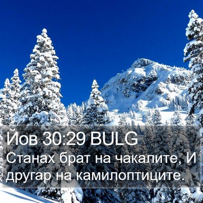 Йов 30:29 BULG Bible Verse Image