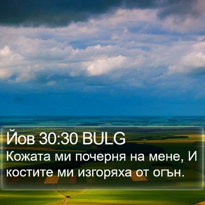 Йов 30:30 BULG Bible Verse Image