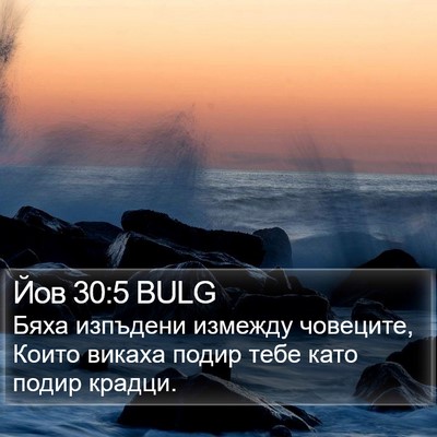 Йов 30:5 BULG Bible Verse Image