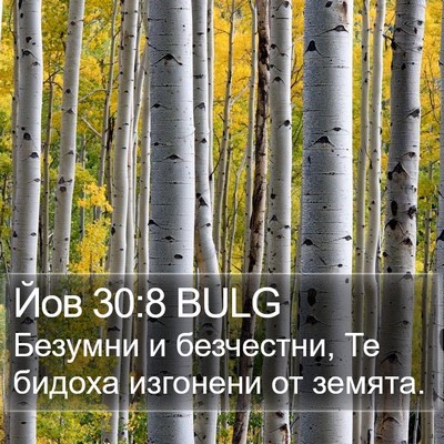 Йов 30:8 BULG Bible Verse Image