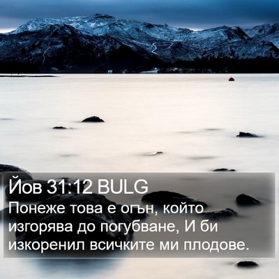 Йов 31:12 BULG Bible Verse Image