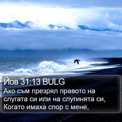 Йов 31:13 BULG Bible Verse Image