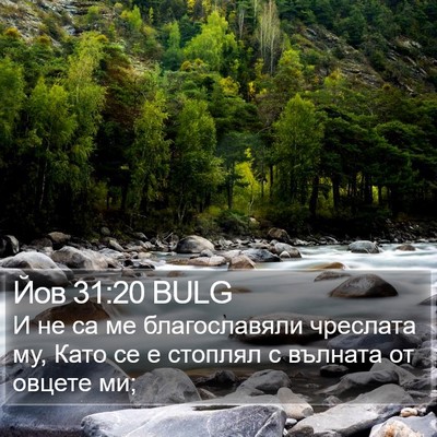 Йов 31:20 BULG Bible Verse Image