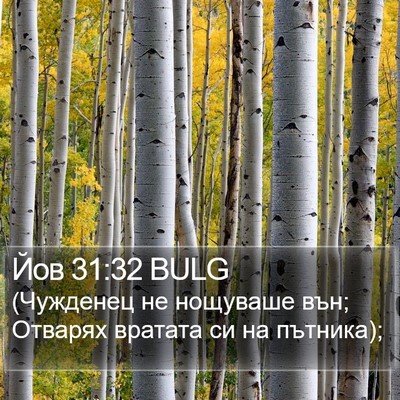 Йов 31:32 BULG Bible Verse Image