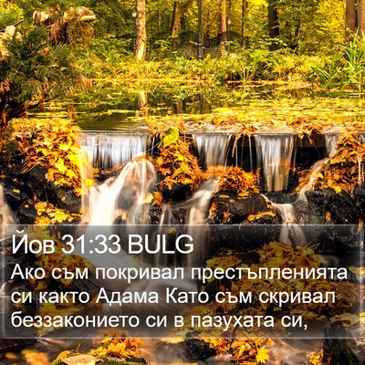 Йов 31:33 BULG Bible Verse Image