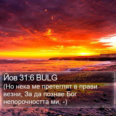 Йов 31:6 BULG Bible Verse Image