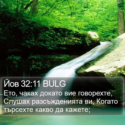 Йов 32:11 BULG Bible Verse Image