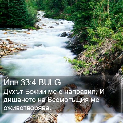 Йов 33:4 BULG Bible Verse Image