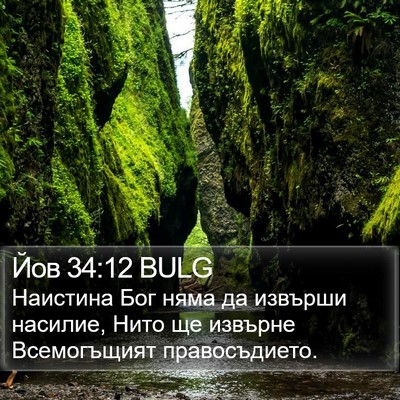 Йов 34:12 BULG Bible Verse Image