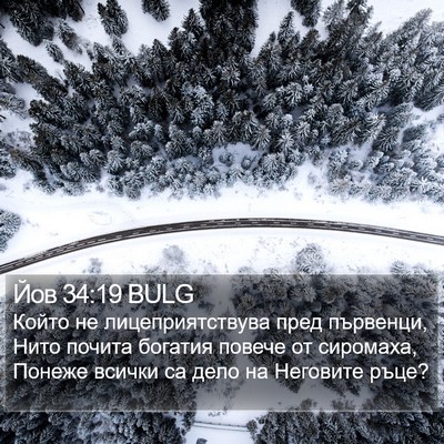 Йов 34:19 BULG Bible Verse Image