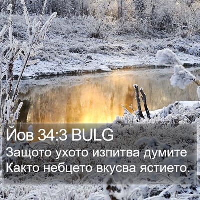 Йов 34:3 BULG Bible Verse Image