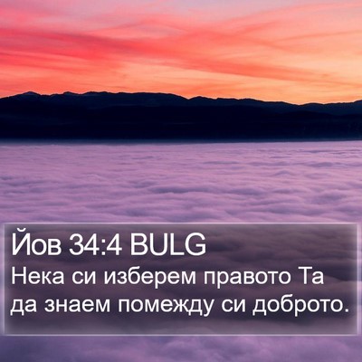 Йов 34:4 BULG Bible Verse Image
