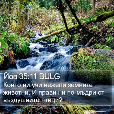 Йов 35:11 BULG Bible Verse Image