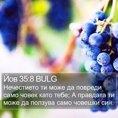 Йов 35:8 BULG Bible Verse Image