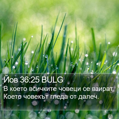 Йов 36:25 BULG Bible Verse Image