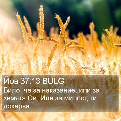 Йов 37:13 BULG Bible Verse Image