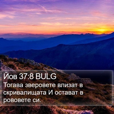 Йов 37:8 BULG Bible Verse Image