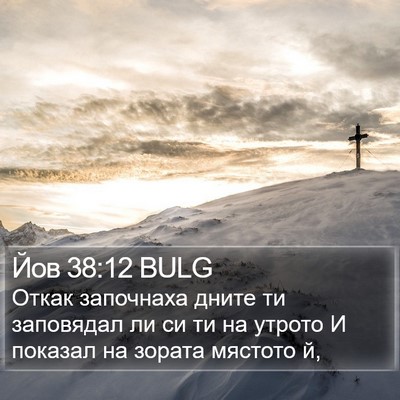 Йов 38:12 BULG Bible Verse Image