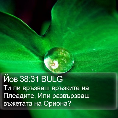 Йов 38:31 BULG Bible Verse Image