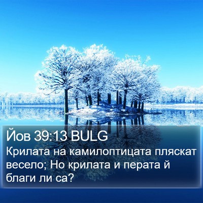 Йов 39:13 BULG Bible Verse Image