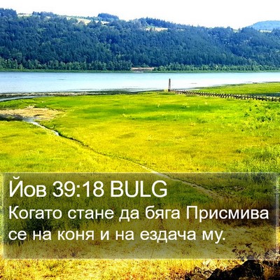 Йов 39:18 BULG Bible Verse Image